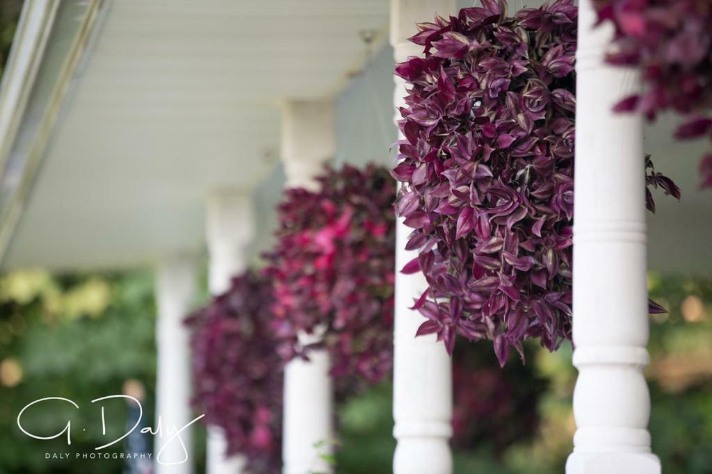 Letchworth Farm Hotel Nunda ภายนอก รูปภาพ